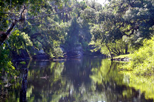 Peace River, Polk County Florida