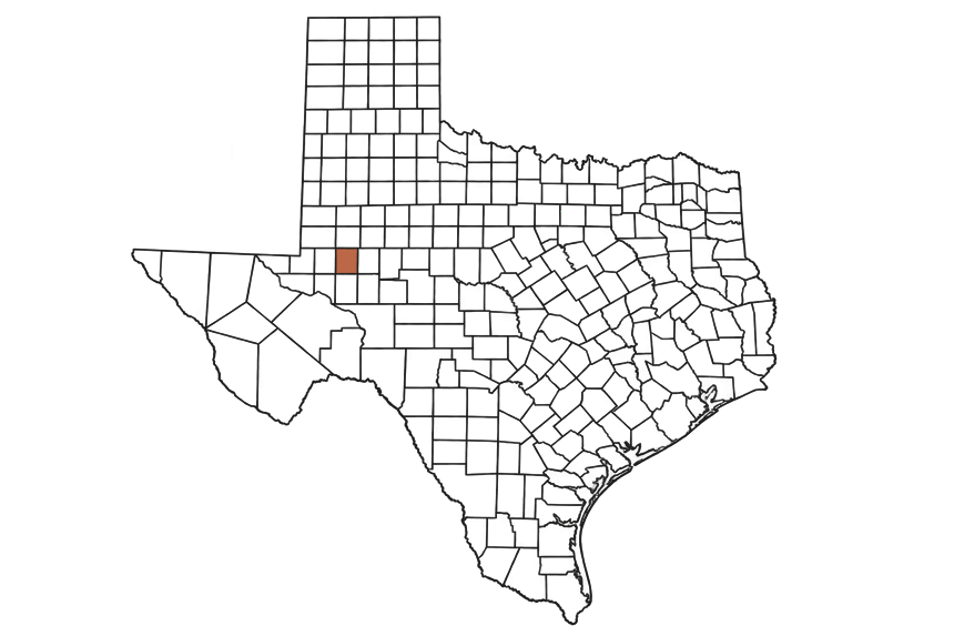 Midland County Texas Jobs