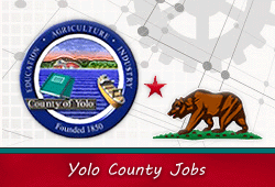Job Directory for Yolo County CA