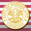 Bossier Parish Louisiana Job Postings