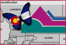 Larimer County Jobs