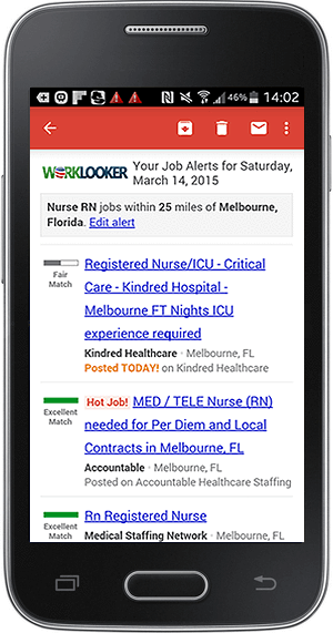 Worklooker's job alerts