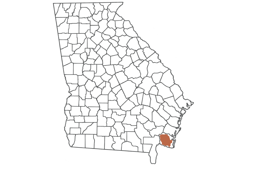 Glynn County Georgia jobs map highlighting Glynn County