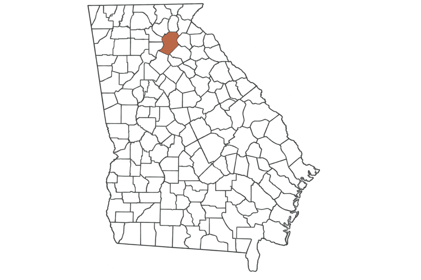 Hall County Georgia jobs map highlighting Hall County