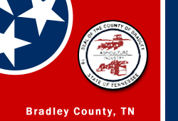 Bradley County Jobs