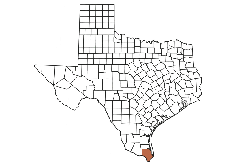 Cameron County Texas Jobs