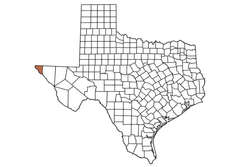 El Paso County Texas Jobs